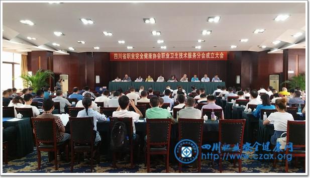 四川省职业安全健康协会职业卫生技术服务分会成立大会暨第一次分会